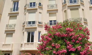 Cannes (06) – Location de bureaux pour professions de santé – cabinet médical pluridisciplinaire